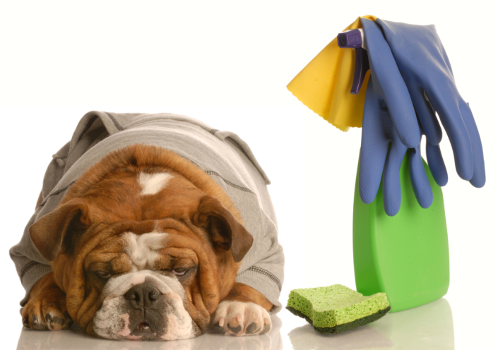 Image for Sparkle Cleaning Services with ID of: 2633259