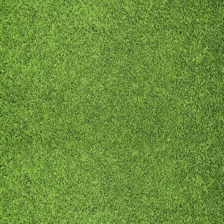 Image for Walk Landscaping, LLC with ID of: 2633626
