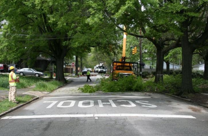 Image for Austin Tree Service Authority with ID of: 2634200