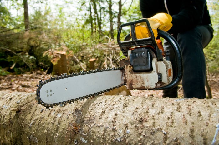 Image for Action Tree Service & Stump Grinding with ID of: 2635771
