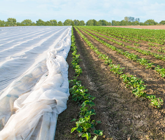 Image for Bulk Bag Co. with ID of: 2640417