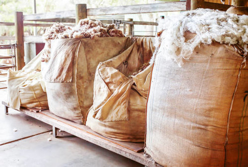 Image for Bulk Bag Co. with ID of: 2640418