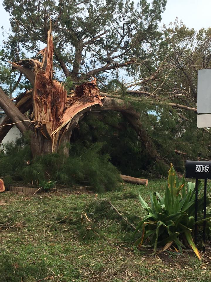 Image for Florida Heights Tree Services LLC with ID of: 2642171