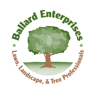 Image for Ballard Enterprises with ID of: 2642496