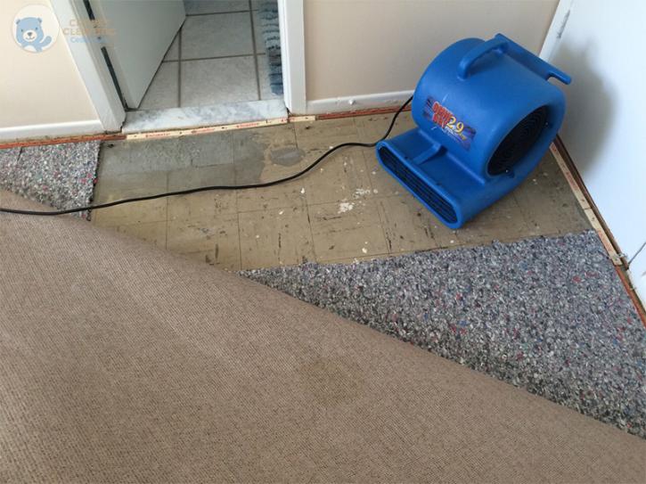 Image for Carpet Cleaning Cedar Park with ID of: 2643247