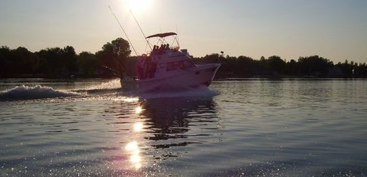 Image for Freedom Sportfishing Charters with ID of: 2643649