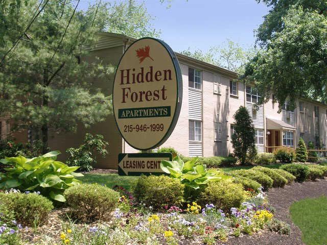 Image for Hidden Forest with ID of: 2644015