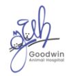 Image for Goodwin Animal Hospital with ID of: 2644967