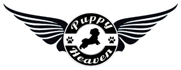 Image for Puppy Heaven with ID of: 2644980