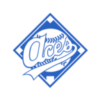 Image for Aces Inc. Baseball with ID of: 2646559