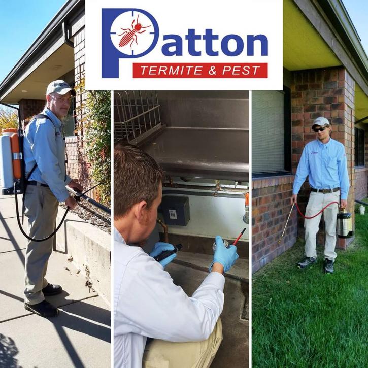 Image for Patton Termite & Pest Control with ID of: 2647802