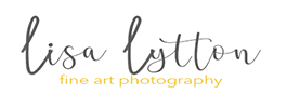Image for Lisa Lytton Photography with ID of: 2649279