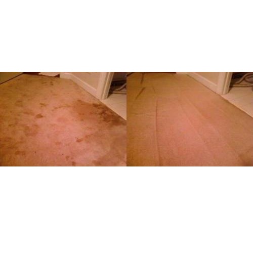 Image for CitruSolution Carpet Cleaning with ID of: 2649326