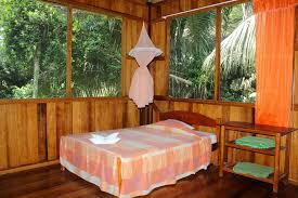 Image for collpa chuncho lodge with ID of: 2650325