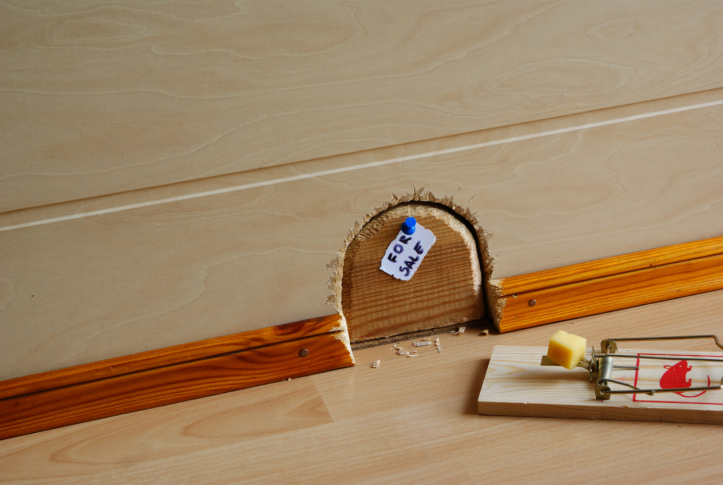 Image for Harvey’s Pest Control with ID of: 2650478