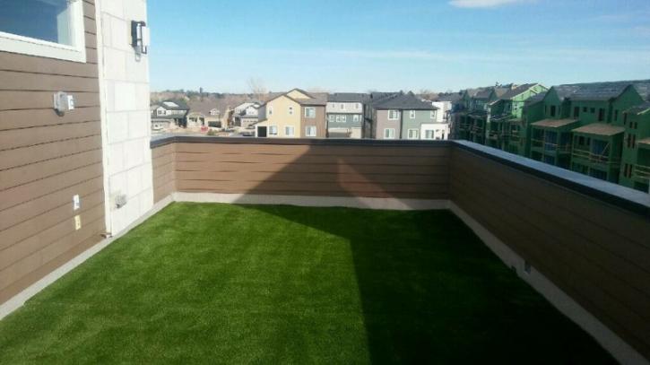 Image for Turf Pros Solution Phoenix with ID of: 2651043