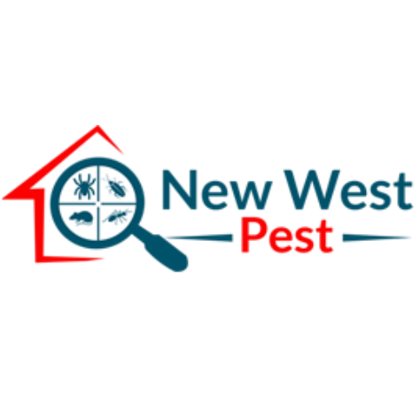 Image for Pest Control Services In New Westminster with ID of: 2654275