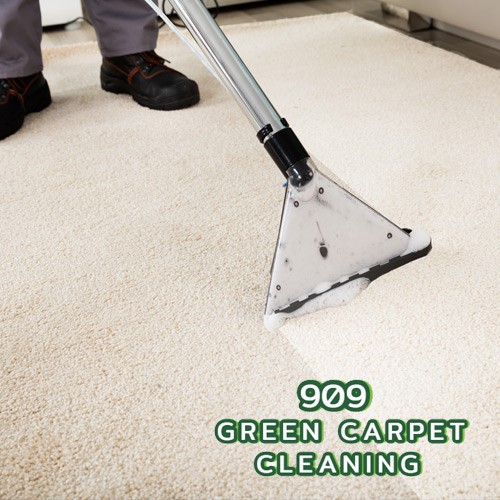 Image for 909 Green Carpet Cleaning with ID of: 2655422