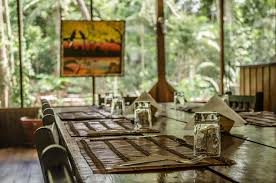 Image for Puerto Maldonado Tours with ID of: 2655640
