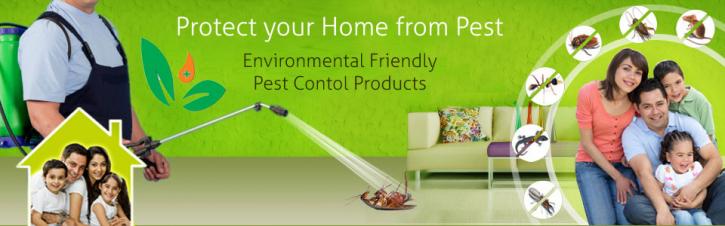 Image for Eliminate Cockroach by Hiring Finest Cockroach Control Services in Delhi with ID of: 2655918