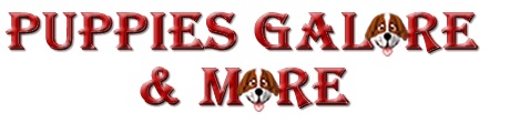 Image for Puppies Galore & More with ID of: 2656147