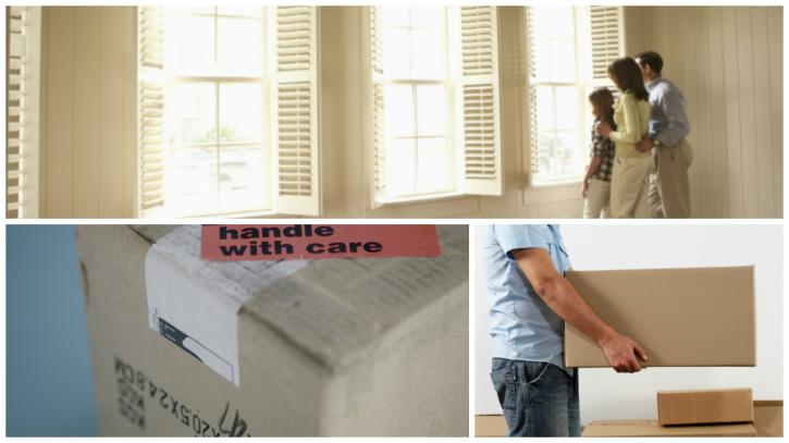 Image for GMZ Movers with ID of: 2656151