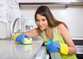 Image for Clean Services with ID of: 2658016