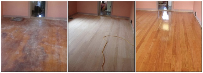 Image for Boston Floor Experts with ID of: 2658138