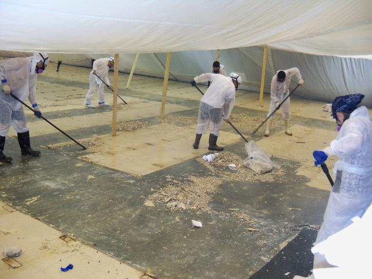 Image for Capital Recycling Asbestos with ID of: 2659783
