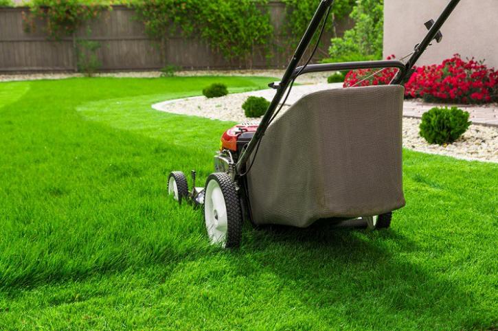 Image for Bruno's Landscaping with ID of: 2660200
