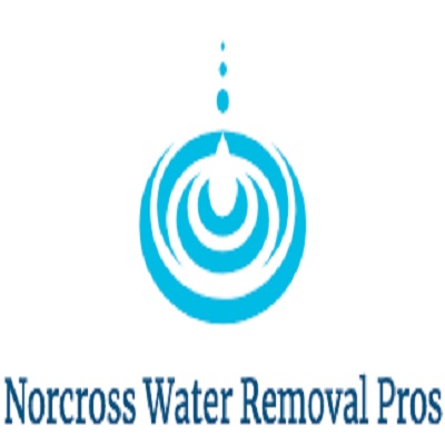 Image for Norcross Water Removal Pros with ID of: 2661437
