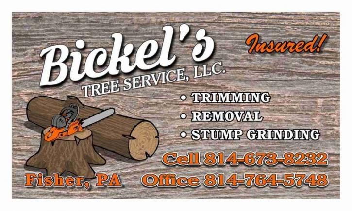 Image for Bickel’s Tree Service LLC with ID of: 2661624