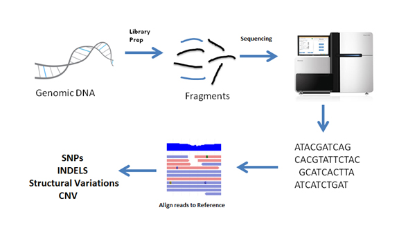 Image for 1010Genome Pte Ltd with ID of: 2662161