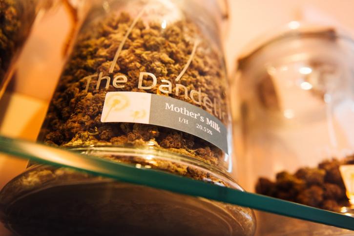 Image for The Dandelion Dispensary with ID of: 2662287