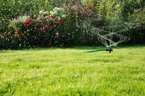 Image for Ivans Lawn Service LLC with ID of: 2662419