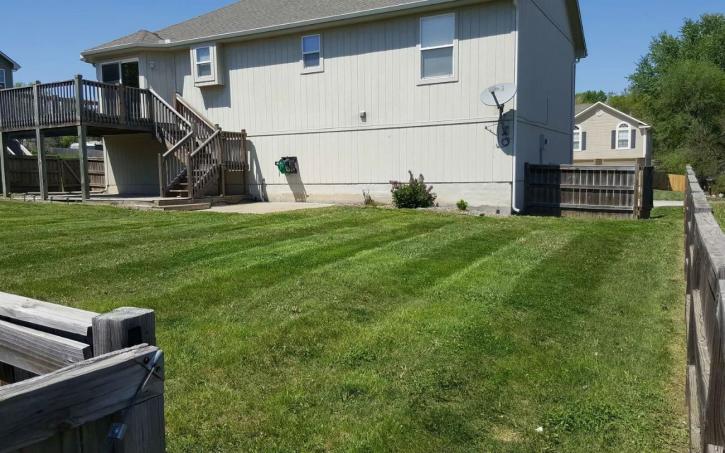 Image for Matt's Lawn Service with ID of: 2662891