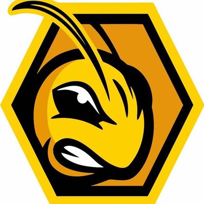 Image for AllPro Bee Removal with ID of: 2662949