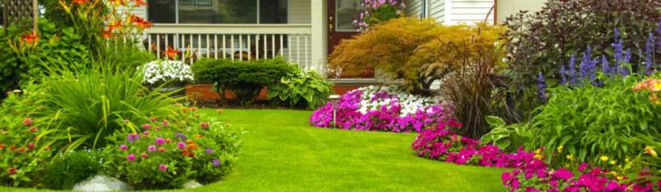 Image for Taylor Enterprise, LLC with ID of: 2663168