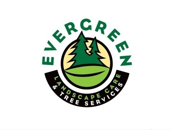 Evergreen Landscape Care Tree, Oregon City Landscape Care