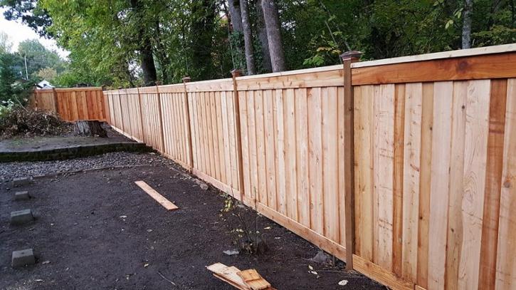 Image for Evergreen Landscape Care & Tree Services with ID of: 2666296