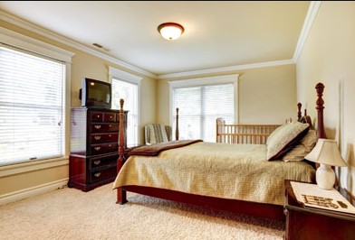 Image for Clean My Carpet with ID of: 2667402