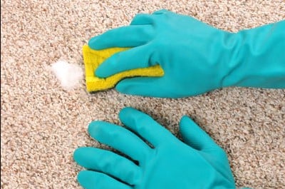 Image for Clean My Carpet with ID of: 2667414