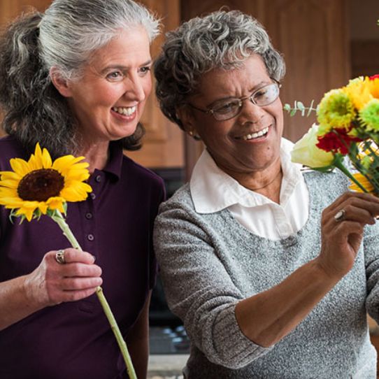 Image for Home Instead Senior Care with ID of: 2670872