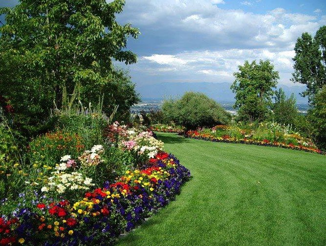 Image for Chavez Landscaping with ID of: 2671120