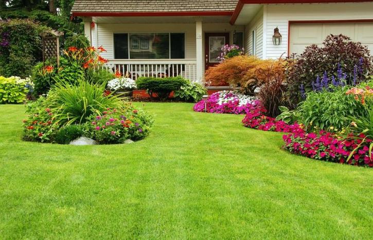 Image for Chavez Landscaping with ID of: 2671141