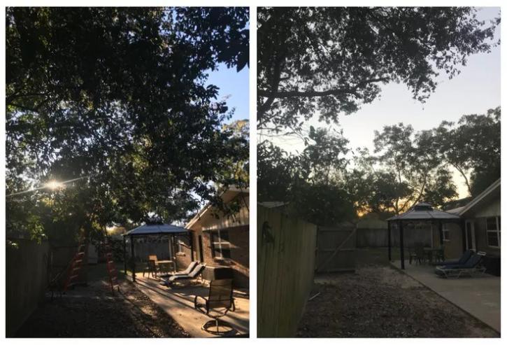 Image for Yellow Jacket Landscaping INC - Shalimar with ID of: 2671960