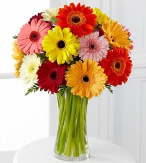Image for Florerias Lima with ID of: 2673705