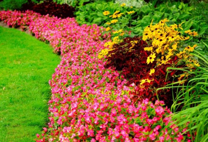 Image for Best Hawaii Landscaping with ID of: 2674101