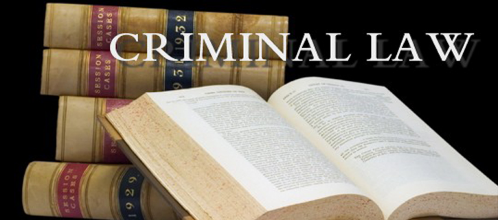 Image for Dan Johnson Criminal Law with ID of: 2674532