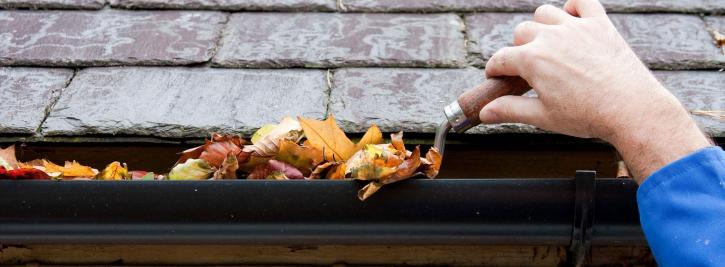 Image for Dodds & Dodds Gutter Cleaning LLC with ID of: 2675754